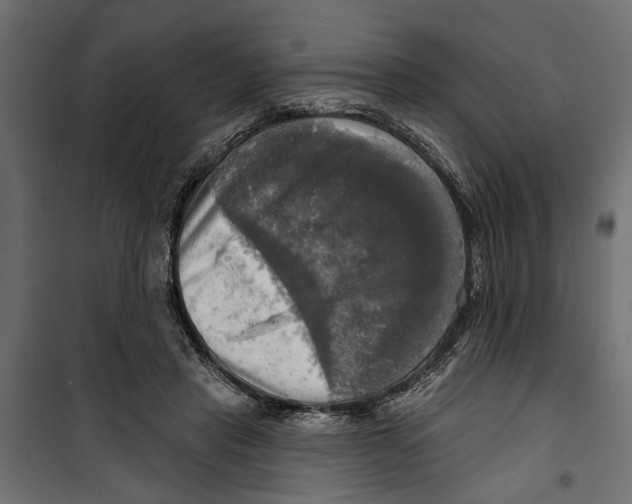 X0000099950453200806201317