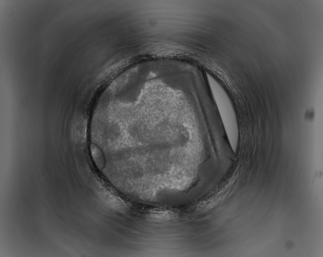 X0000099950454200806201317