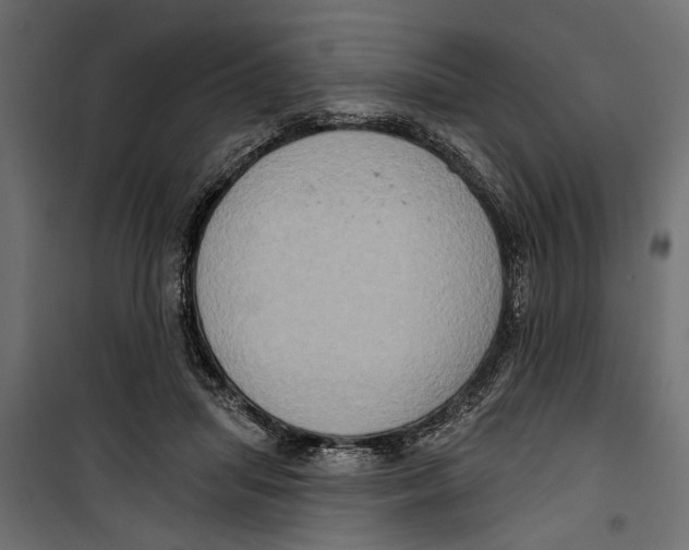 X0000099950455200806201317