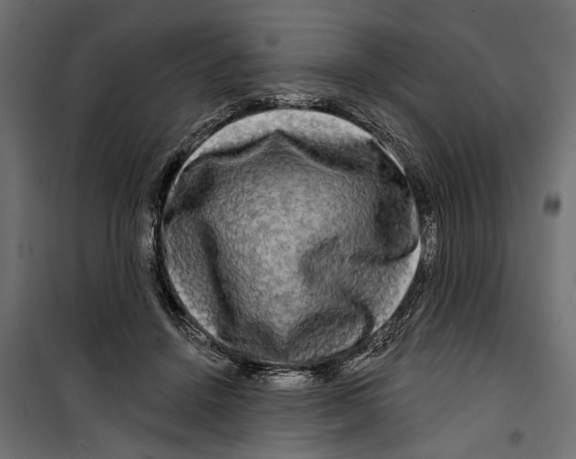 X0000099950456200806201317