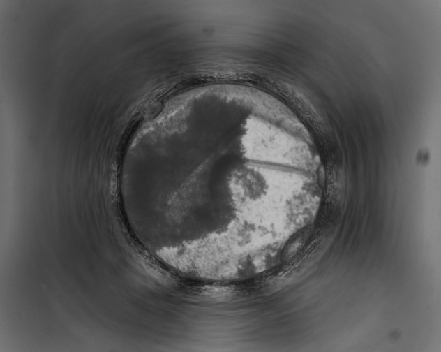 X0000099950457200806201317