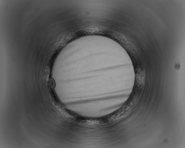 X0000099950458200806201317