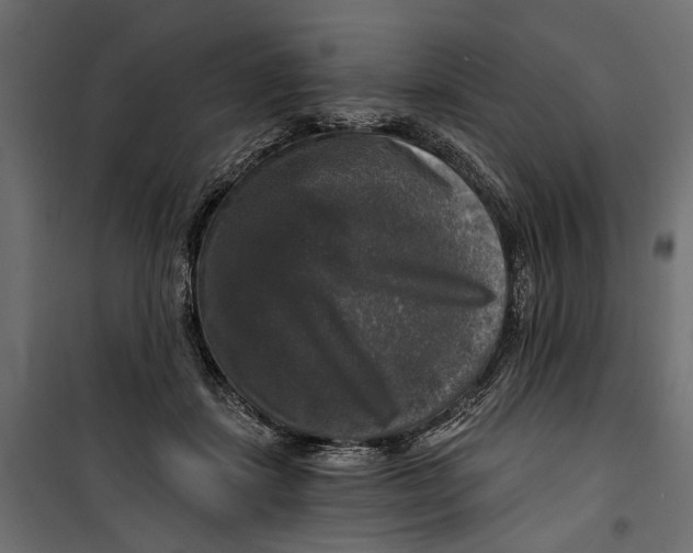 X0000099950459200806201317