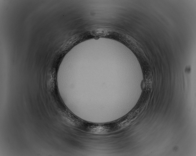 X0000099950460200806201317