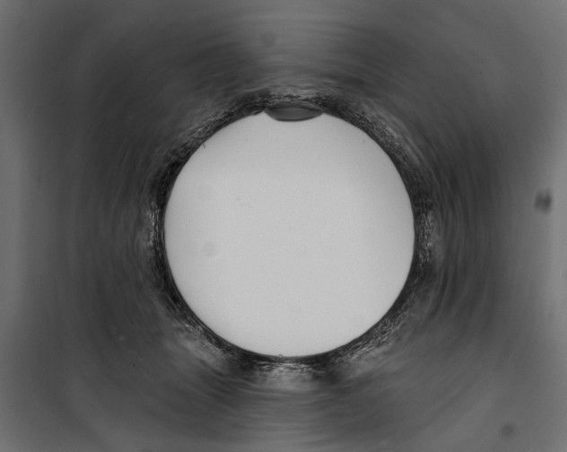 X0000099950463200806201317