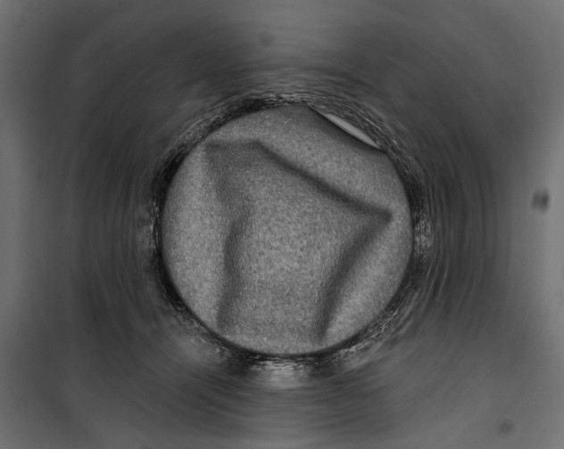 X0000099950464200806201317