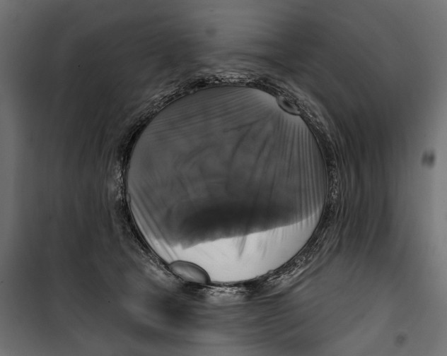 X0000099950465200806201317