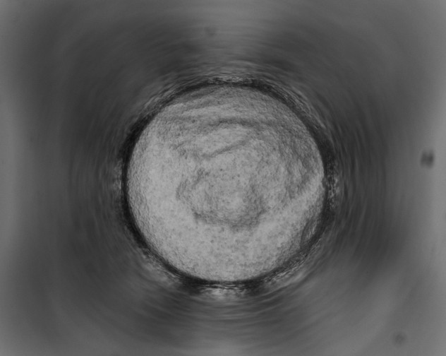 X0000099950466200806201317