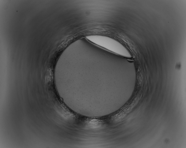 X0000099950467200806201317