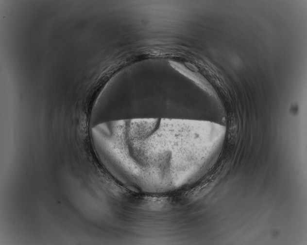 X0000099950469200806201317