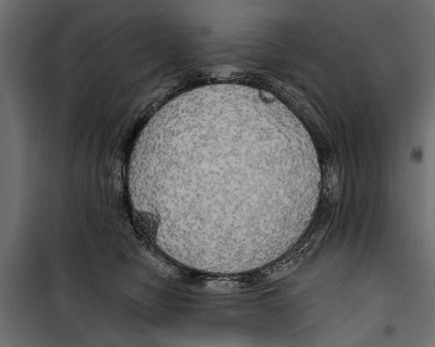 X0000099950470200806201317