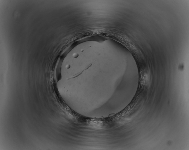 X0000099950471200806201317