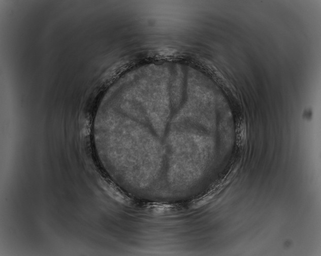 X0000099950472200806201317