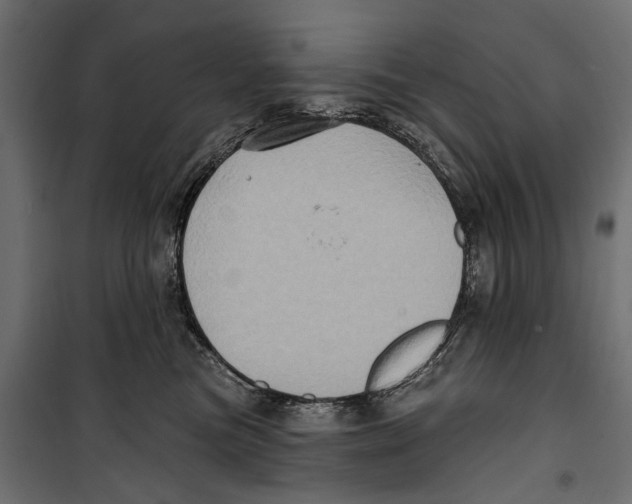 X0000099950473200806201317