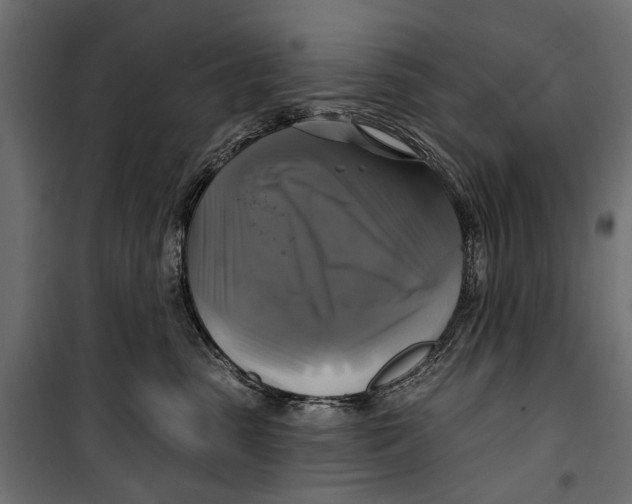 X0000099950475200806201317