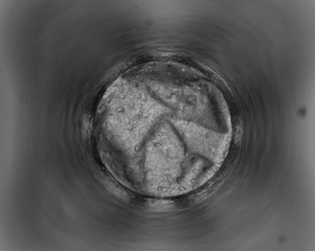X0000099950476200806201317