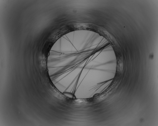 X0000099950477200806201318