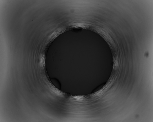 X0000099950478200806201318