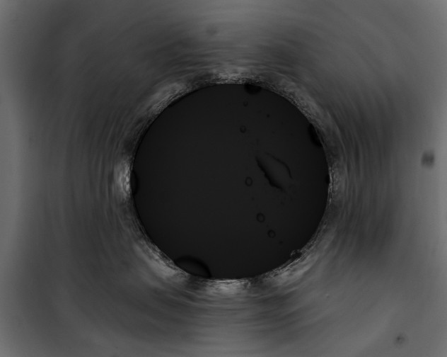 X0000099950479200806201318