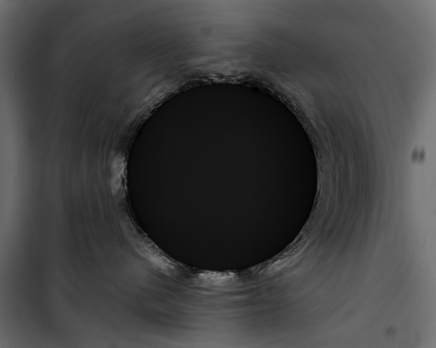 X0000099950480200806201318