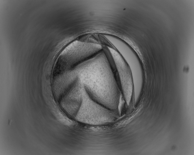 X0000099950481200806201317