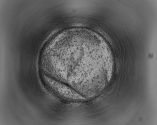 X0000099950482200806201317