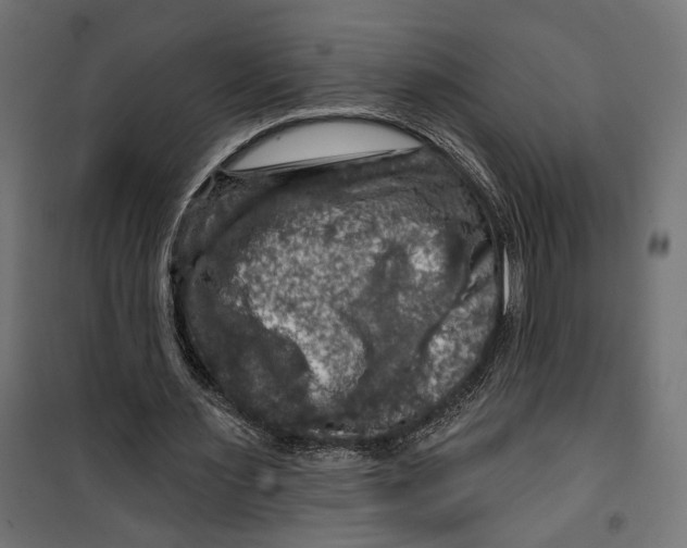 X0000099950483200806201317