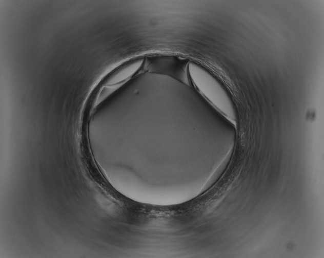 X0000099950484200806201317