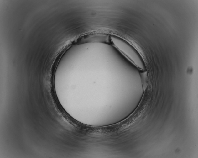 X0000099950485200806201317