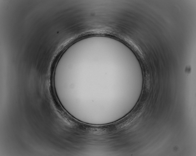X0000099950486200806201317