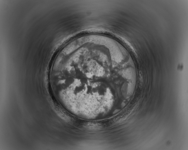 X0000099950487200806201317
