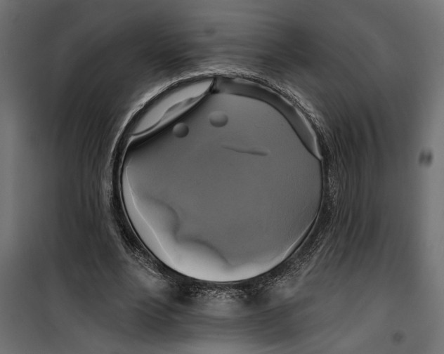 X0000099950488200806201317