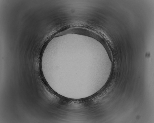 X0000099950489200806201317