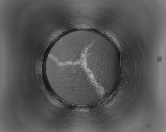 X0000099950491200806201317