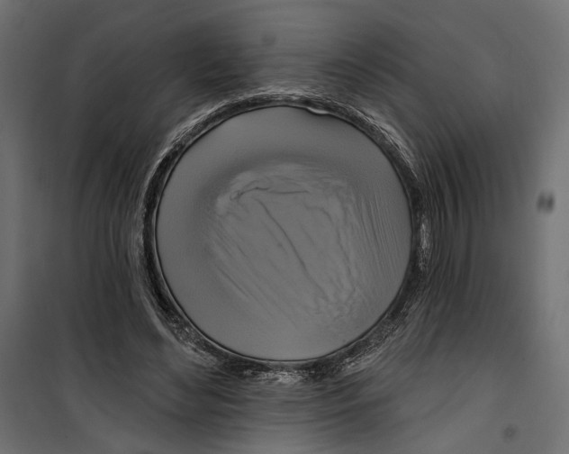 X0000099950492200806201317