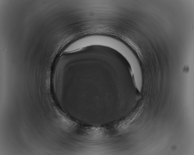 X0000099950493200806201317