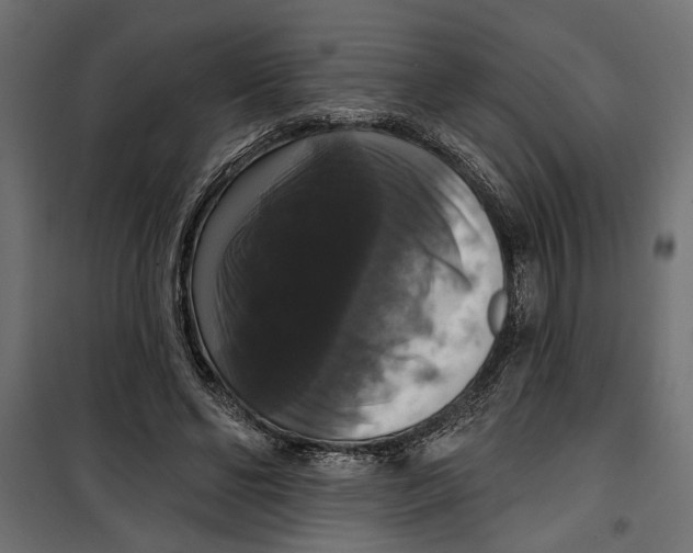 X0000099950494200806201317