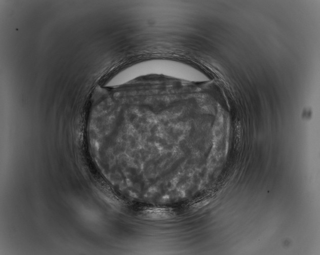 X0000099950499200806201316