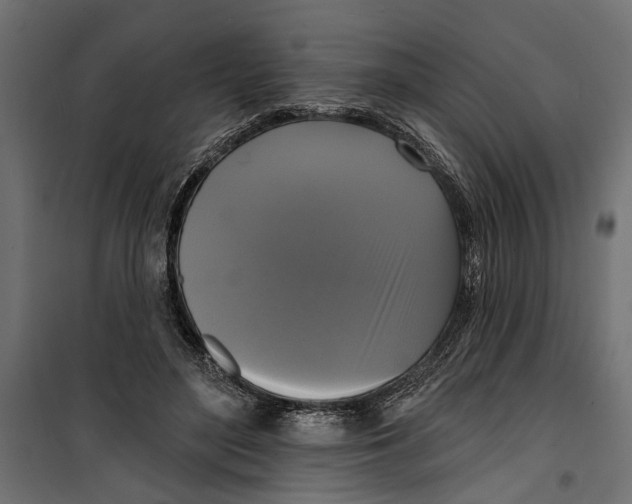 X0000099950500200806201316