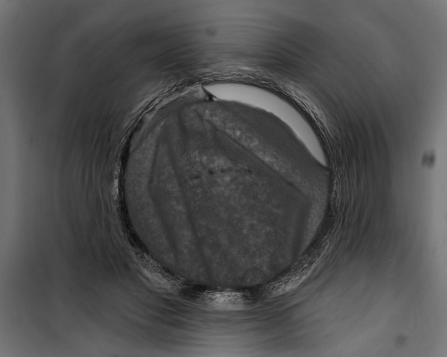 X0000099950501200806201316