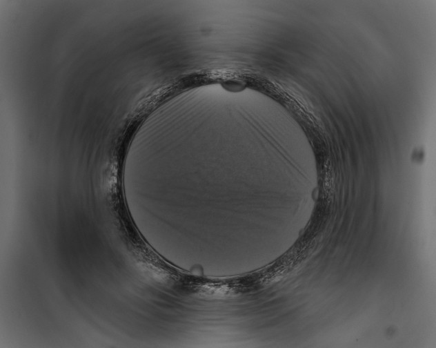 X0000099950502200806201316