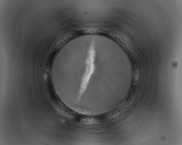 X0000099950503200806201316