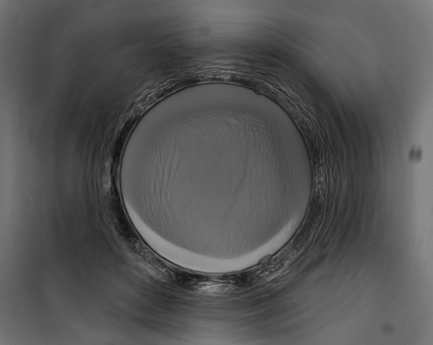 X0000099950504200806201316
