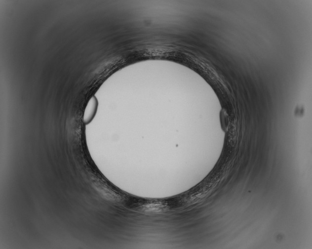 X0000099950505200806201316