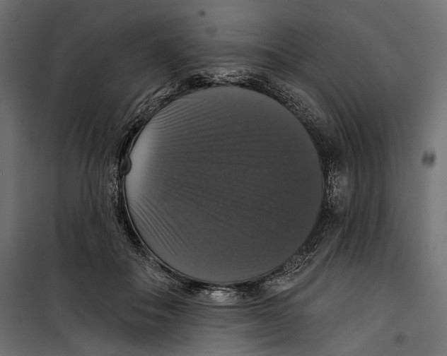 X0000099950506200806201316