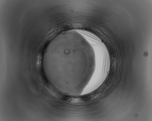 X0000099950507200806201316