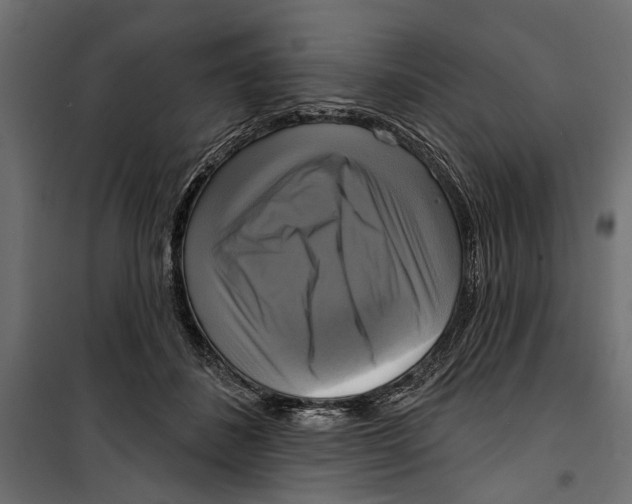 X0000099950508200806201316
