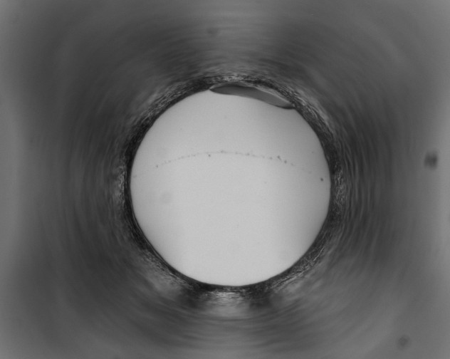 X0000099950509200806201316