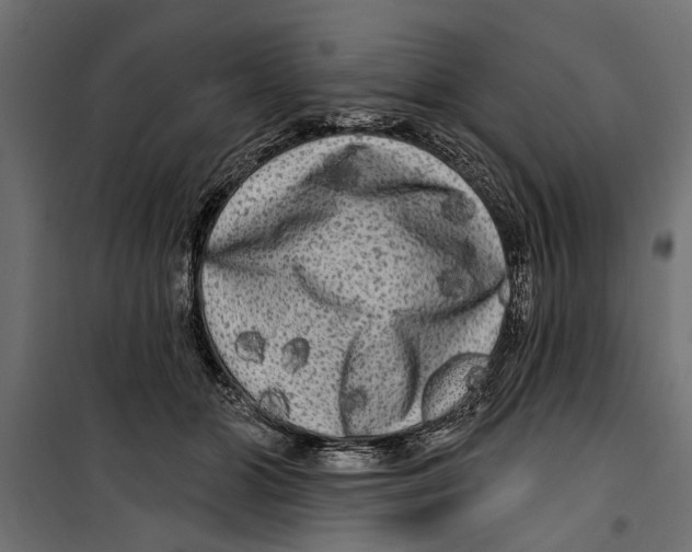 X0000099950510200806201316