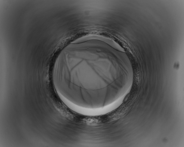 X0000099950512200806201316